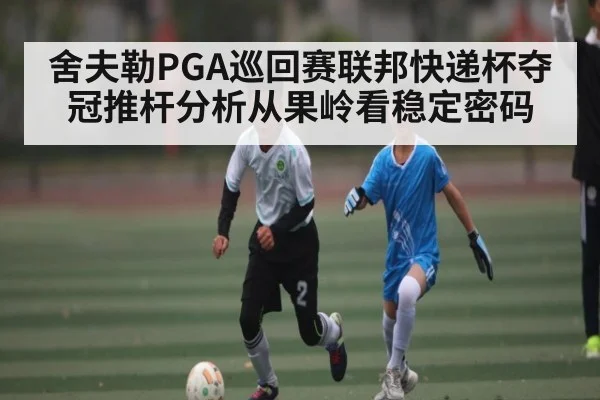 舍夫勒PGA巡回赛联邦快递杯夺冠推杆分析从果岭看稳定密码（kaiyun）