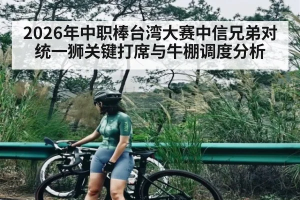2026年中职棒台湾大赛中信兄弟对统一狮关键打席与牛棚调度分析（kaiyun）